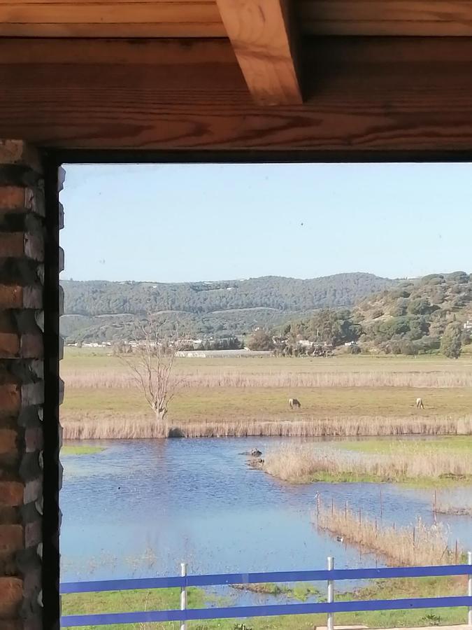 Villa Casa Los Ibis à Vejer de la Frontera Extérieur photo